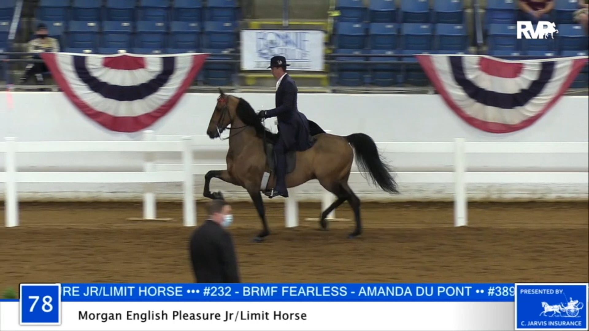 2020 BB - Class 78 Morgan English Pleasure Junior:Limit Horse