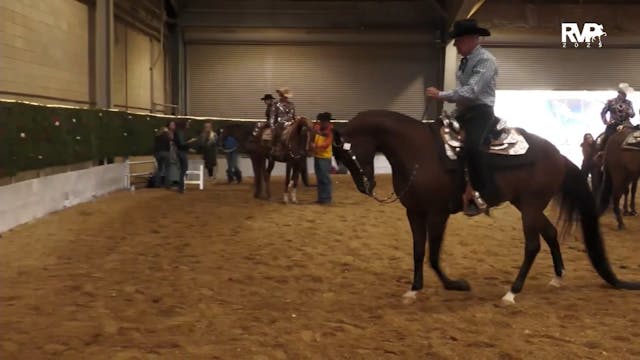 AN25 - Class 3127a - Arabian Western ...