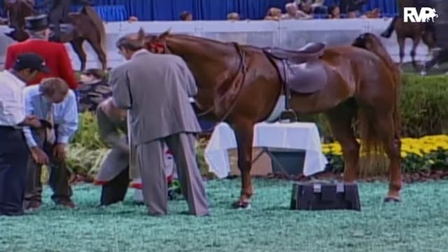 2009 World's Championship Horse Show ...