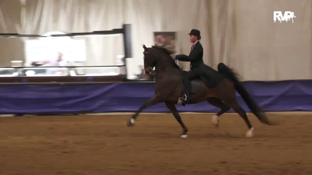 GASP23 - Class 52 - ASB Ladies Five G...