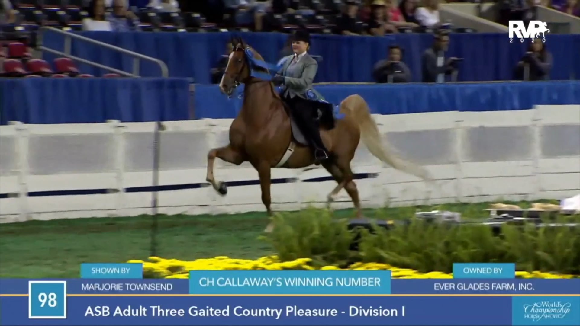 2020 AR - Callaway's Winning Numbers Retirement