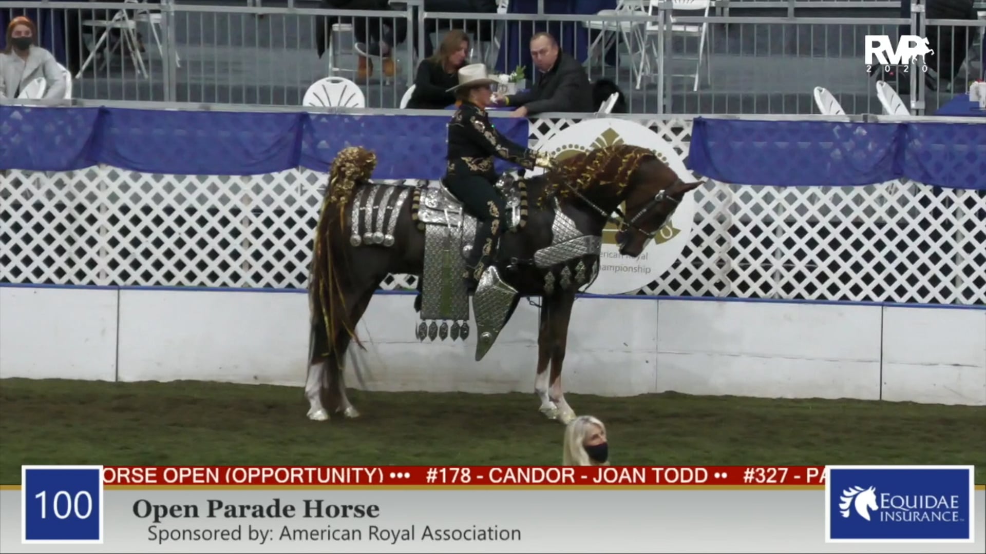2020 AR - Class 100 Open Parade Horse
