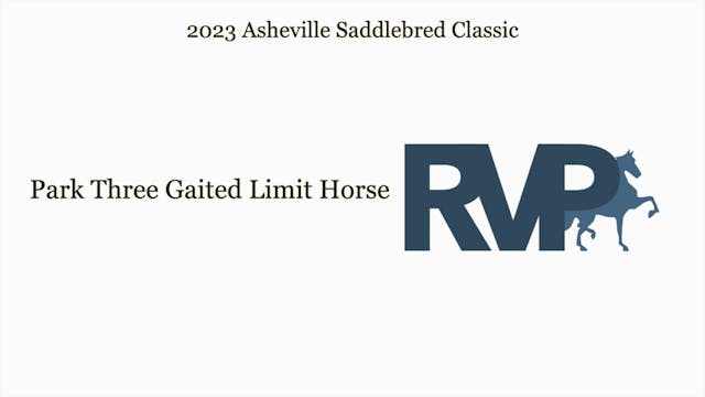 ASC23 - Class 18 - Park Three Gaited ...