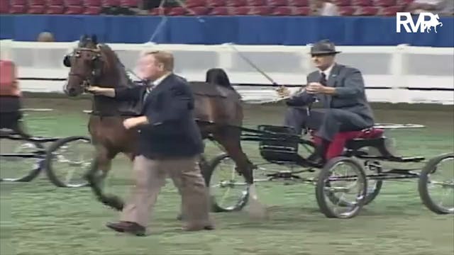 2003 WCHS Class 65 Amateur Gentlemen'...