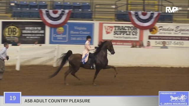 2019 American Saddlebred Horse Associ...