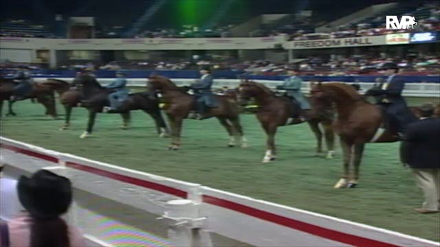 2000 WCHS Class 209 ASB Three Gaited ...