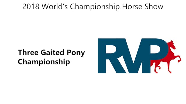 WCHS18 - Class 205 - Three Gaited Pon...