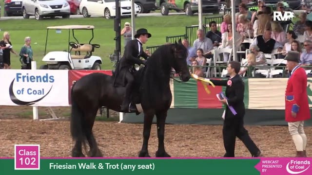 2015 LJL - Class 102 Friesian Walk & ...