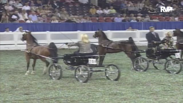 2006 WCHS Class 198 Amateur Harness P...