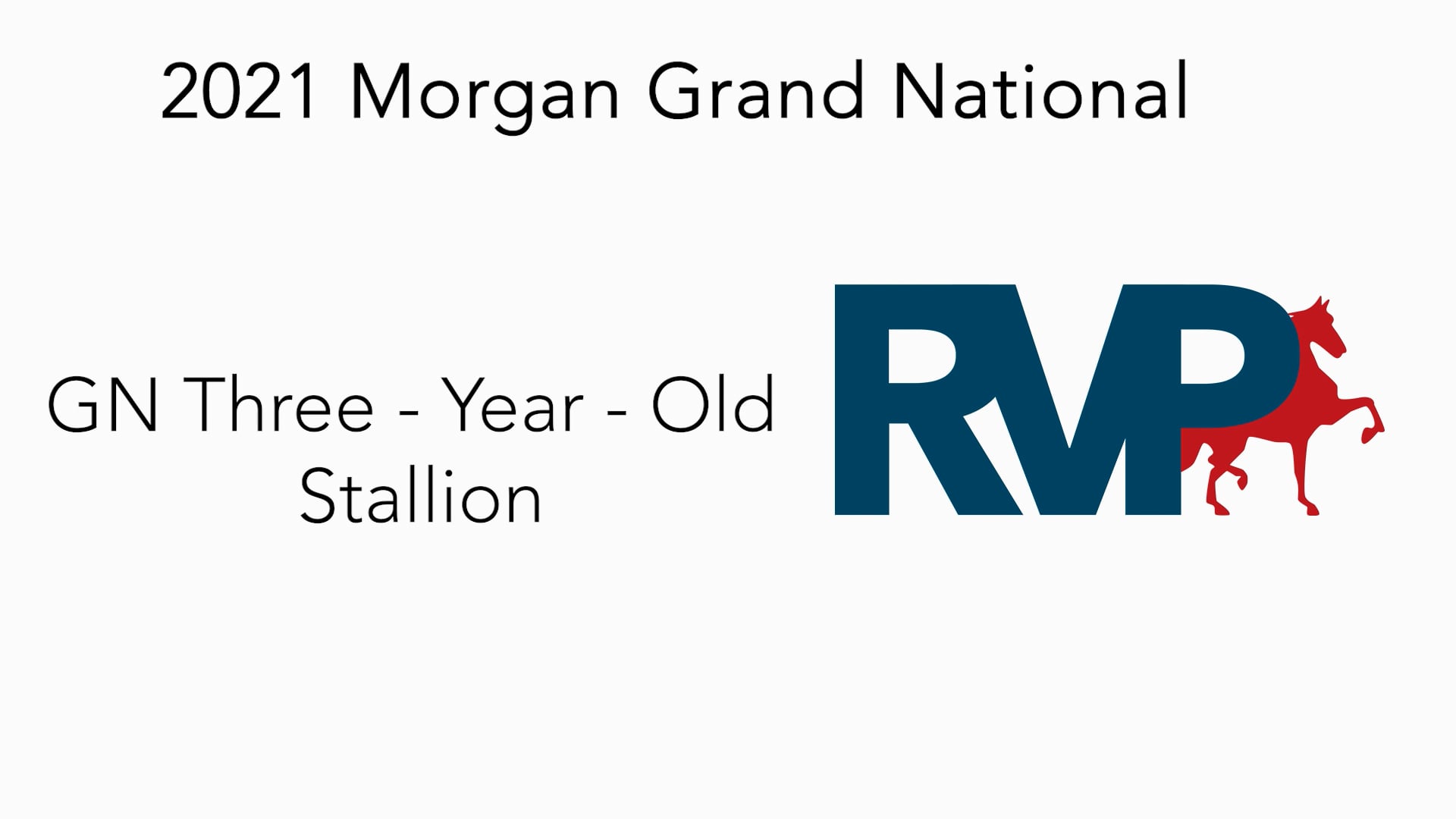 MGN21 - Class 32 GN Three Year Old Stallion