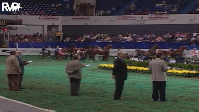 2004 World's Championship Horse Show ...