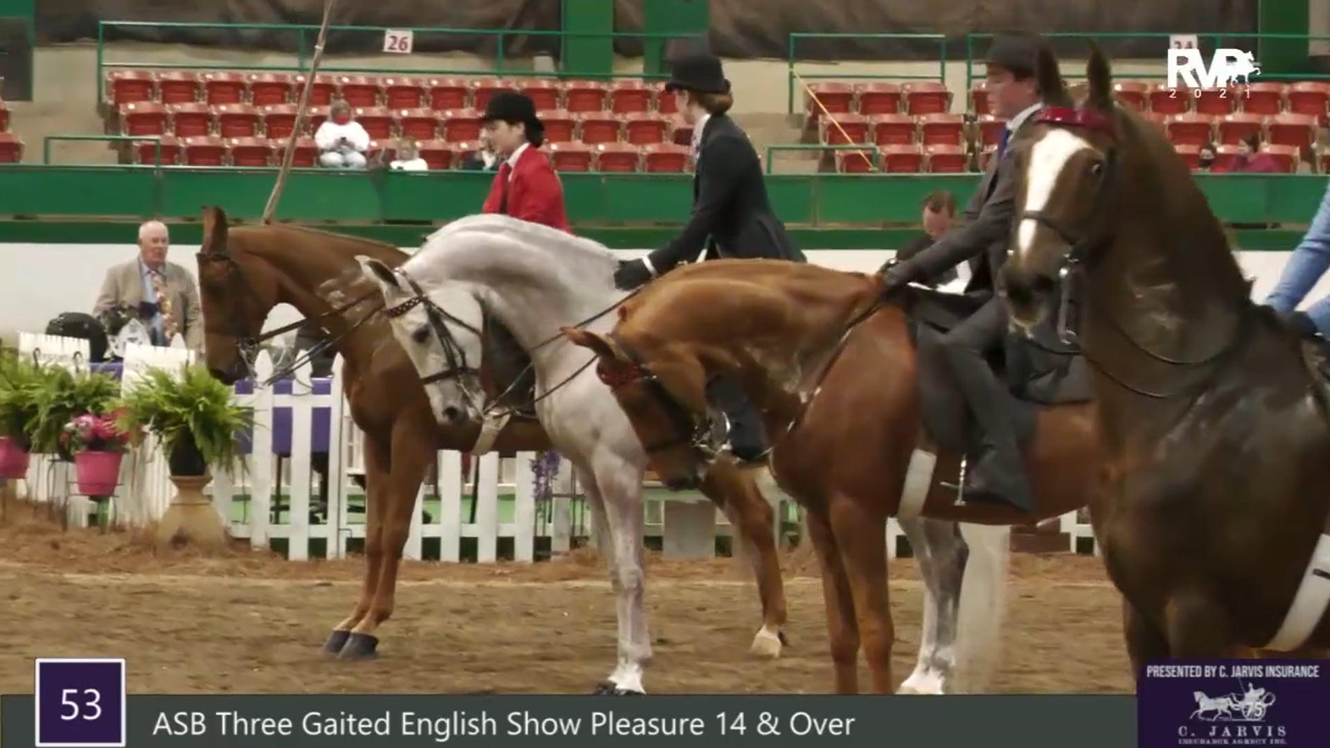 RSP21 - Class 53 - ASB Three Gaited English Show Pleasure 14 and Over
