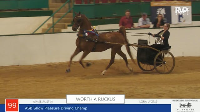 NCSC22 - Class 99 -  Worth A Ruckus a...