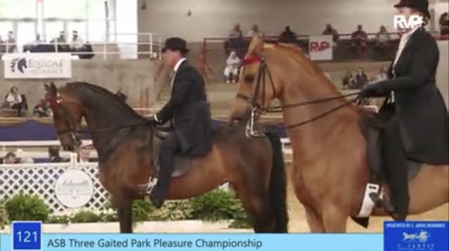 ASC21 - Class 121 - ASB Three Gaited ...