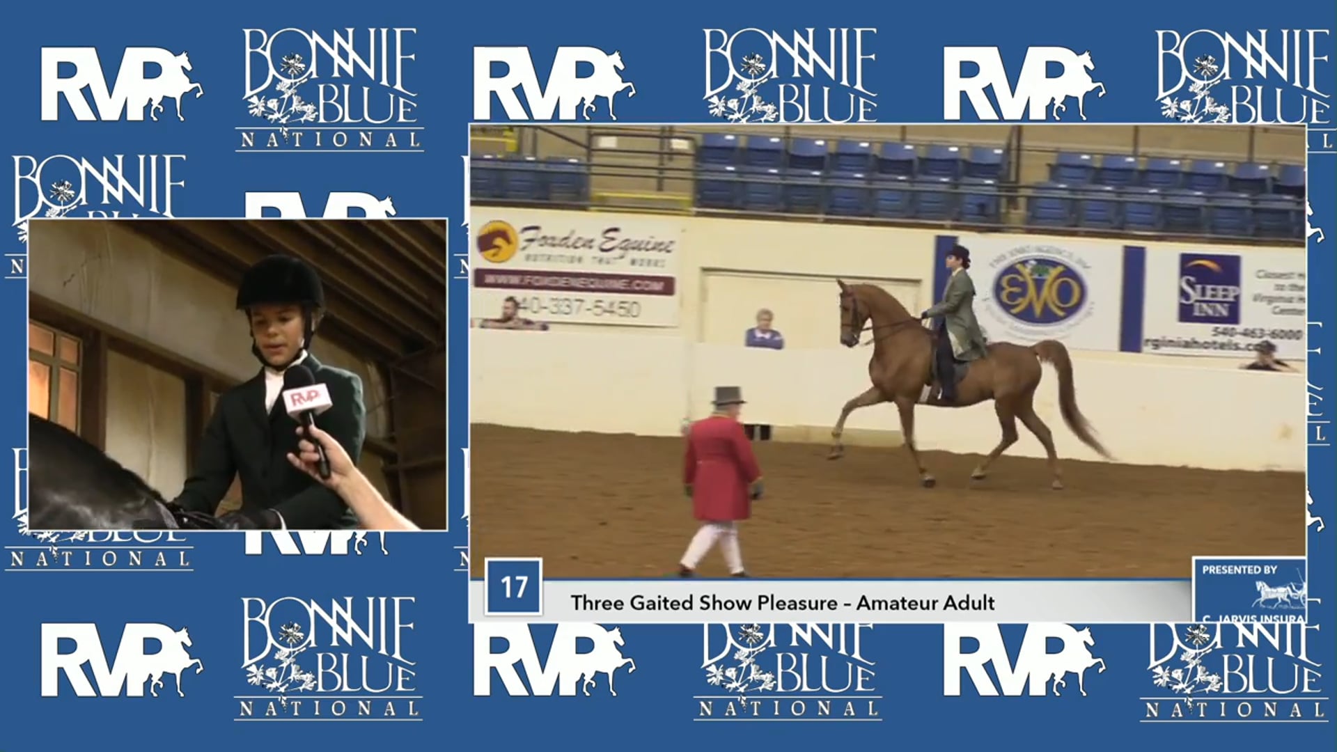 BB17 - Co Fan S - Friesian English Pleasure Hunter Seat Open