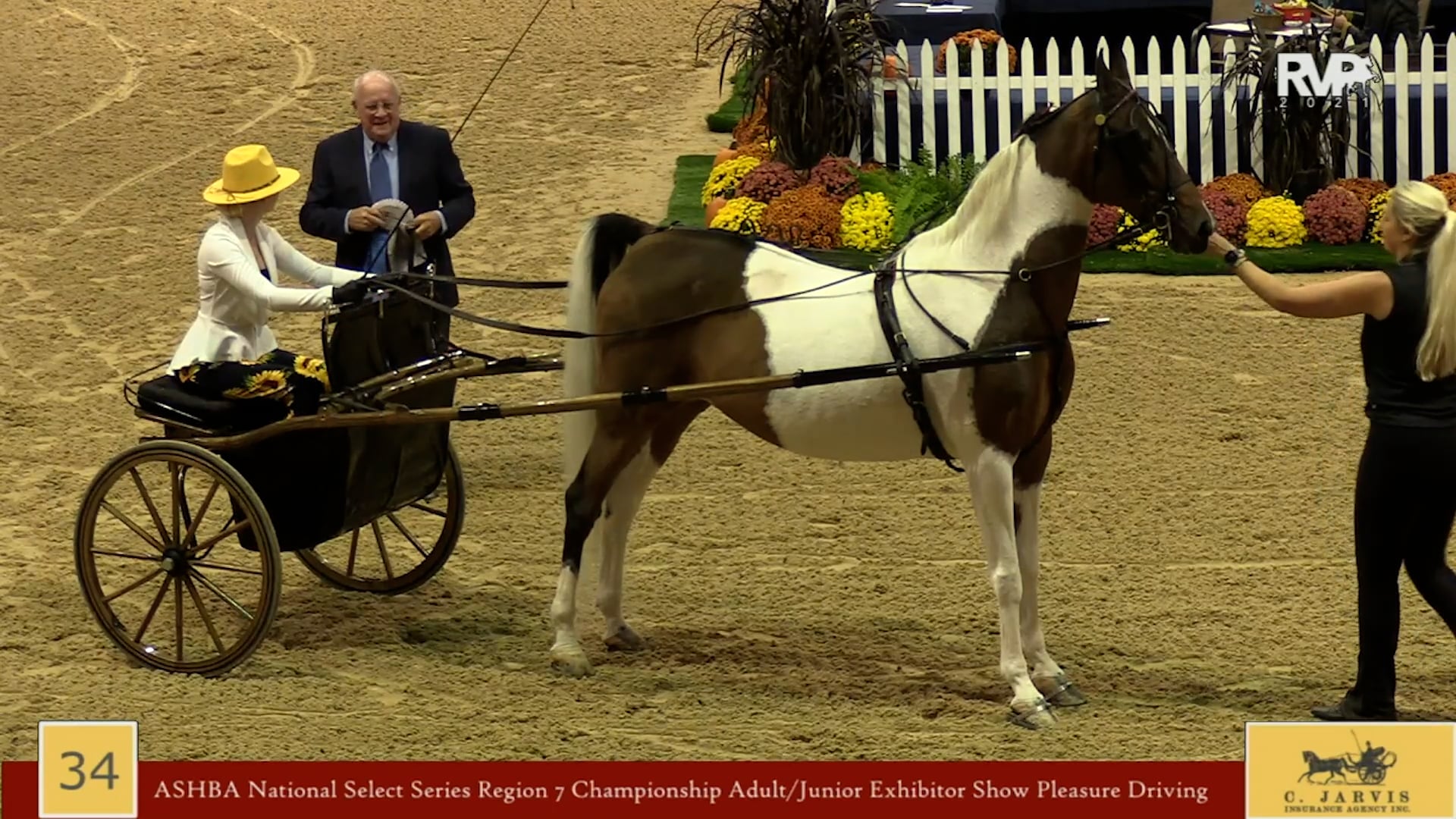 KYFC21 - Class 34 - ASHBA National Select Series Region 7 Championship Adult-Junior Exhibitor Show Pleasure Driving