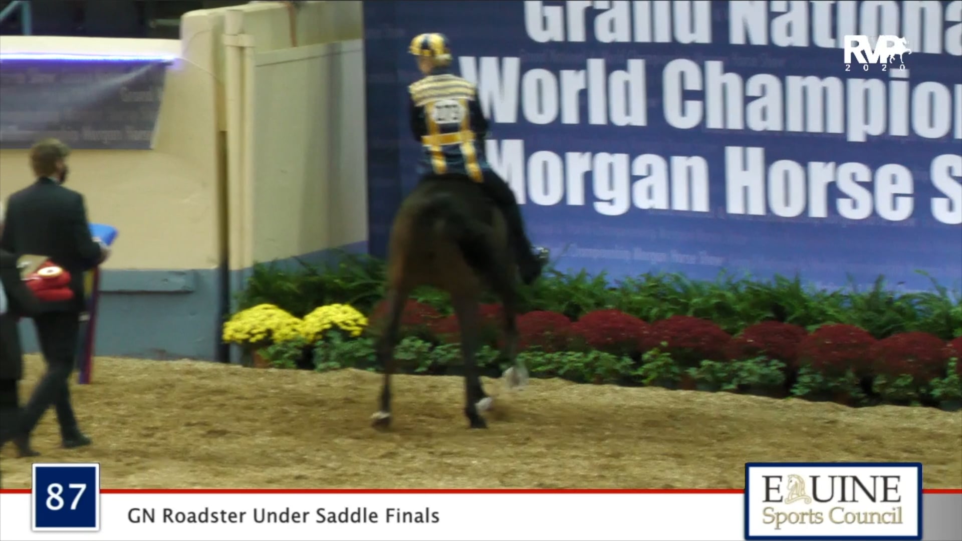 2020 MGN - Class 87 GN Roadster Under Saddle Finals