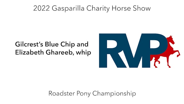 GASP22 - Class 142 - Gilcrest’s Blue Chip and Elizabeth Ghareeb, whip