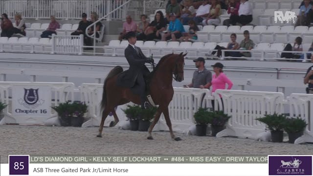 OIHS22 - Class 85 - ASB Three Gaited ...