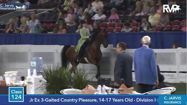 2014 Worlds Championship Horse Show- ...