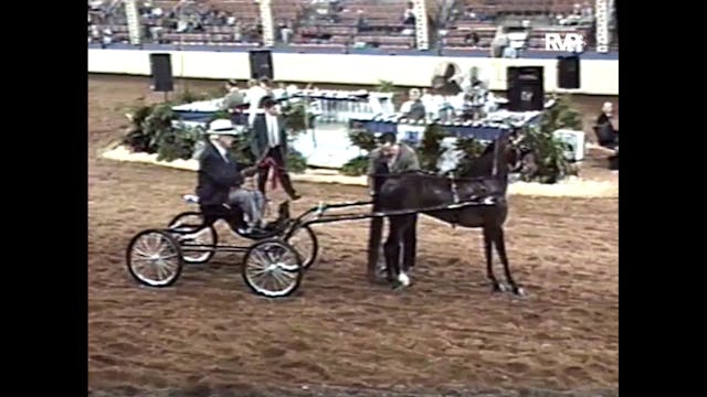 1999 Midwest Charity - Hackney Fine H...