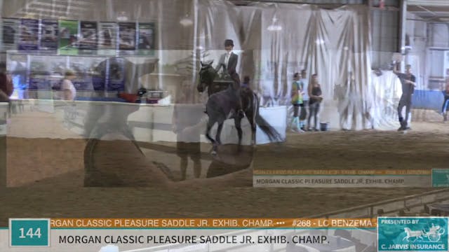 Class 142 - RWF Paganini GCH Champion...