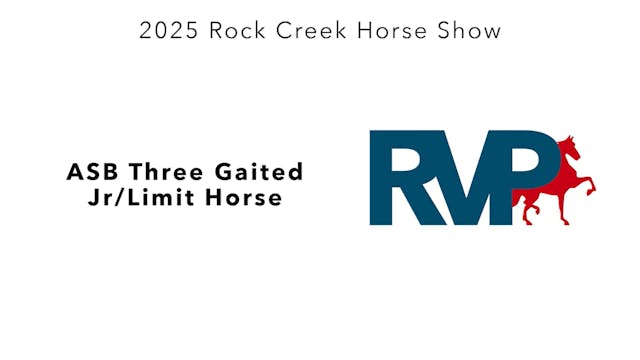 RC25 - Class 42 - ASB Three Gaited Jr...