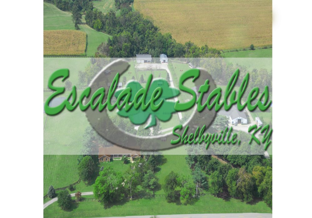 A Visit with Escalade Stables & their New Trainer