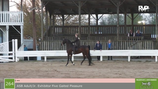 SB21 - Class 264 - ASB Adult Jr Exhib...