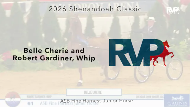 SC26 - Class 61 - Belle Cherie and Ro...