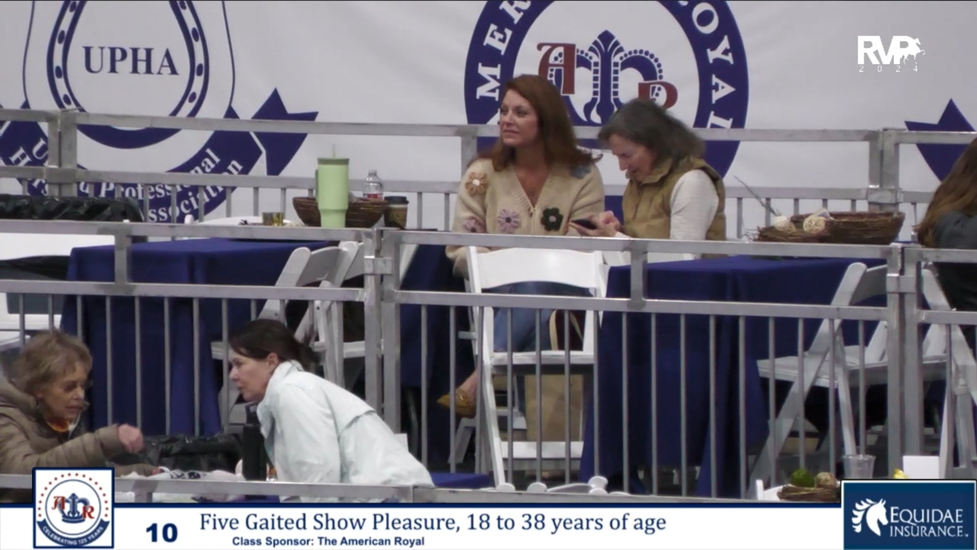 AR24 - Class 10 - Five Gaited Show Pleasure 18-34