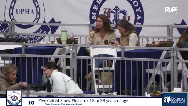 AR24 - Class 10 - Five Gaited Show Pl...