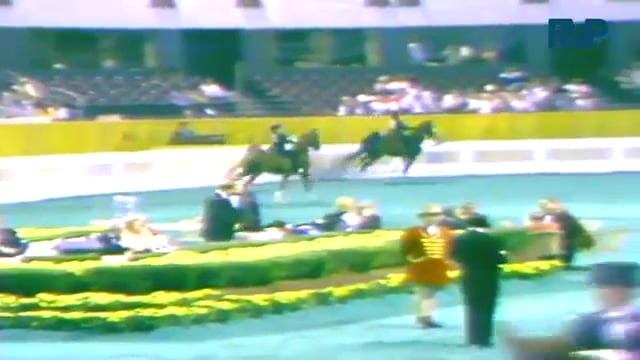 1987 WCHS Class 4 Equitation KY Rider...