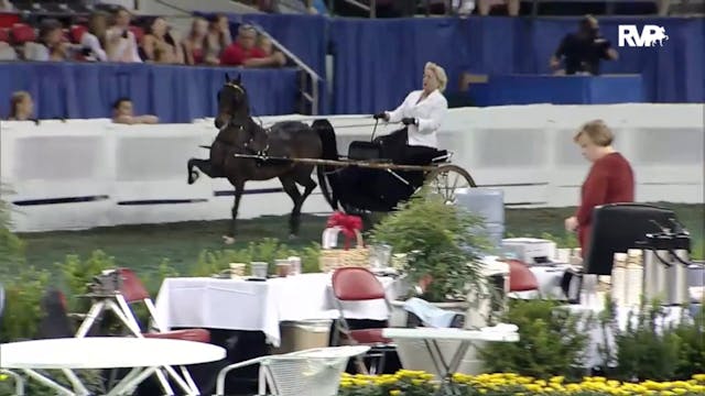 2012 WCHS - Class 69A Adult Amateur H...