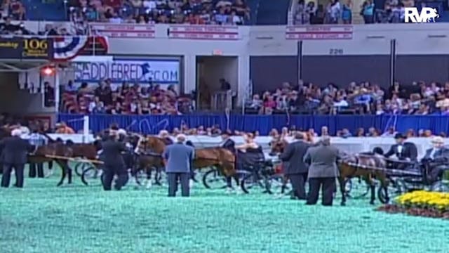 2009 World's Championship Horse Show ...