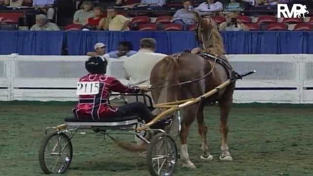 2004 World's Championship Horse Show ...