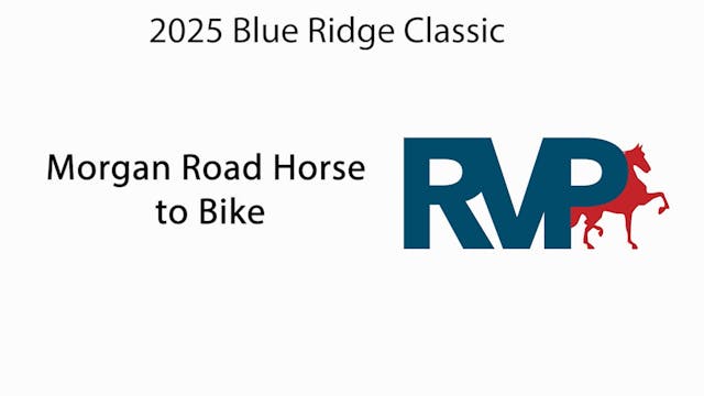 BRC25 - Class 123 - Morgan Road Horse...