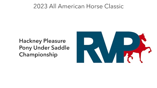 ASHAV23 - Class 90 - Hackney Pleasure Pony Under Saddle Championship