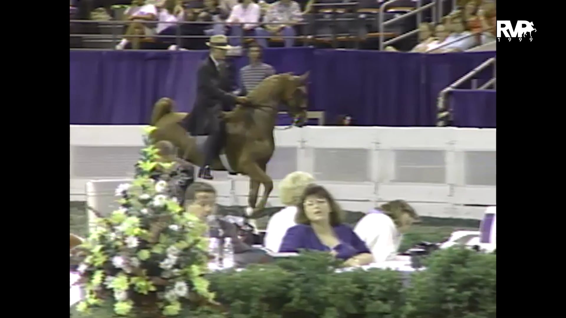 1999 WCHS - Class 176 Two Year Old Five Gaited Stake