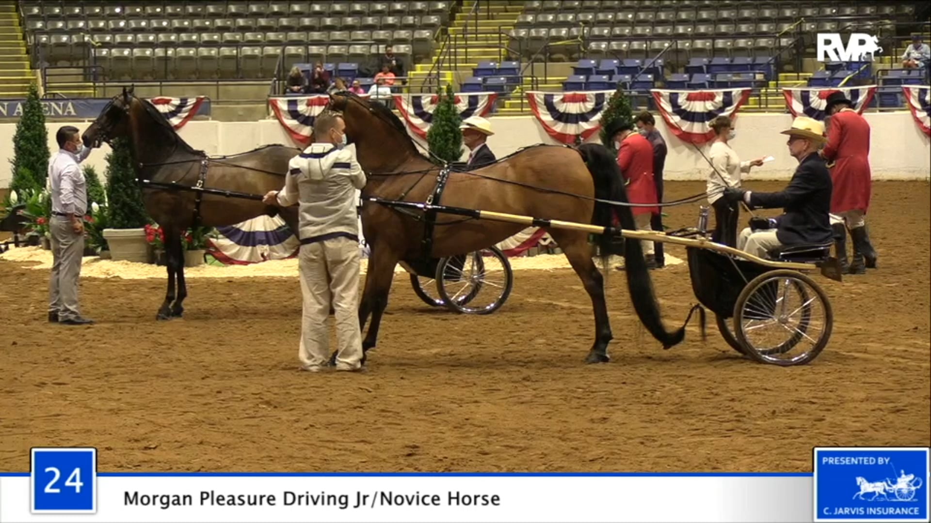 2020 BB - Class 24 Morgan Pleasure Driving Junior:Novice Horse