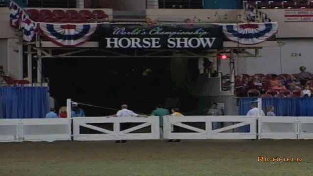 2002 WCHS Class 101 Five Gaited Mare ...