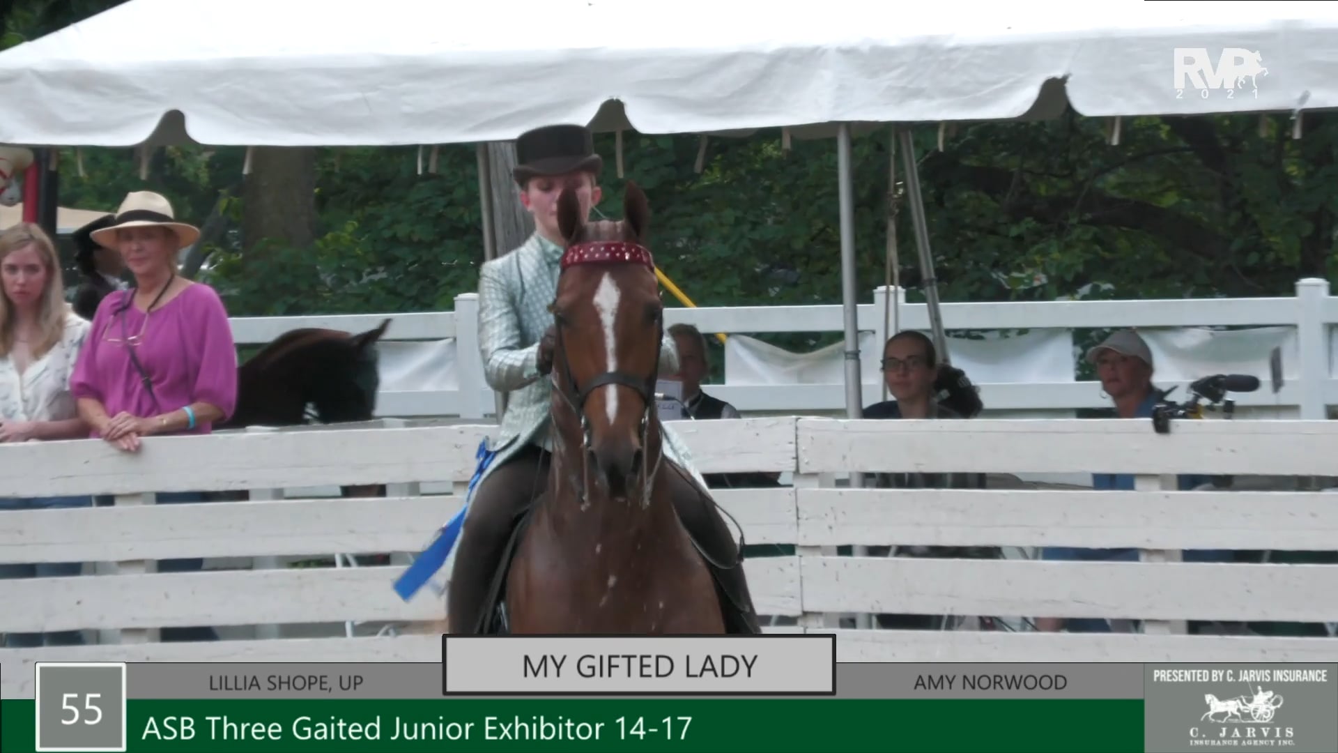 RC21 - Class 55 - My Gifted Lady and Lillia Shope, up