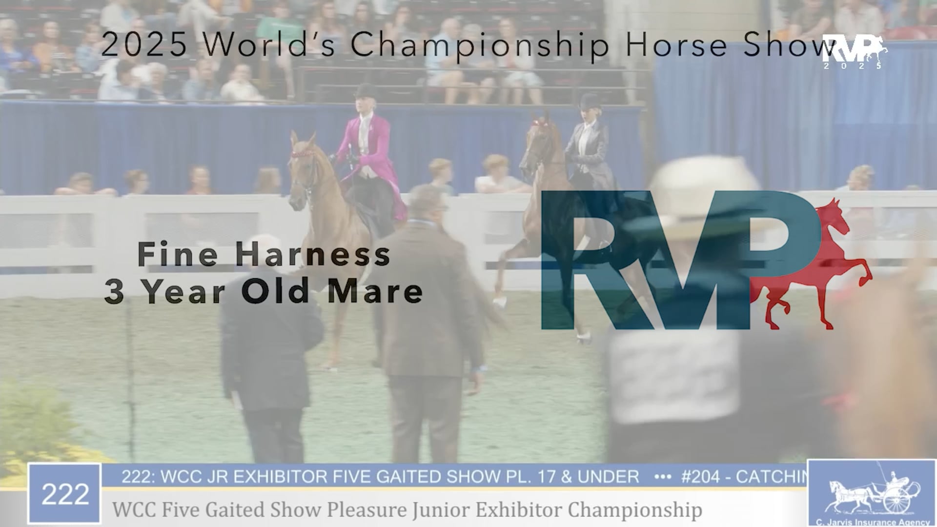 WCHS25 - Class 222 - WCC Five Gaited Show Pleasure Jr Exhibitor Championship