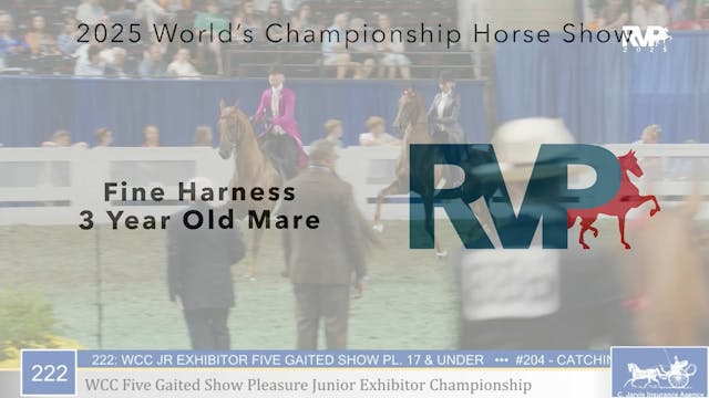 WCHS25 - Class 222 - WCC Five Gaited ...