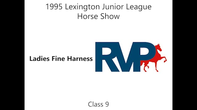 LJL 1995 - Class 9 - Ladies Fine Harness
