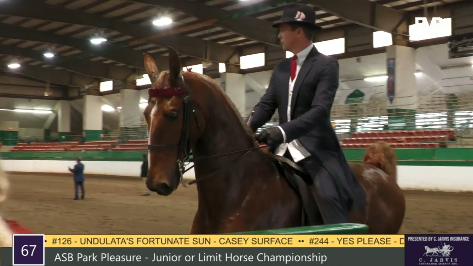 RSP21 - Class 67 - ASB Park Pleasure Junior or 
Limit Horse Championship