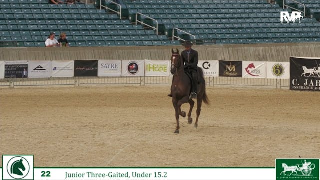 LJL24 - Class 22 - Jr Three Gaited