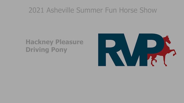ASF21 - Class 13 - Hackney Pleasure D...