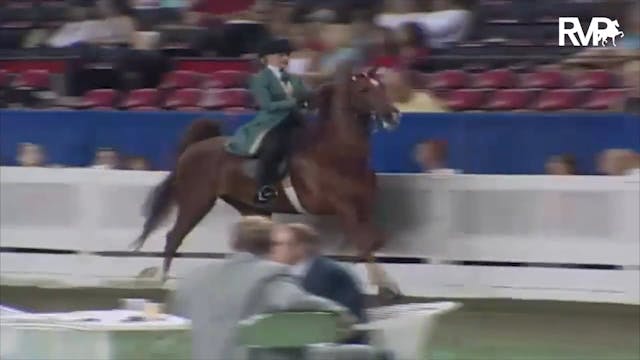 2003 WCHS Class 70 ASB Three Gaited S...