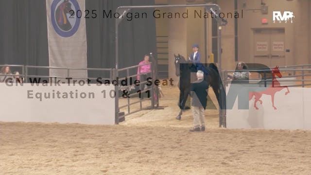 MGN25 - Class 5 - GN Walk-Trot Saddle...